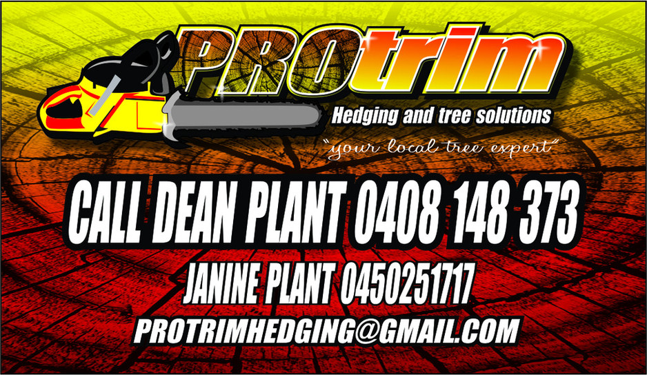 Pro Trim Hedging & Tree Solutions Pic 2