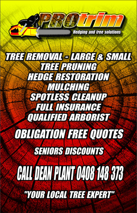 Pro Trim Hedging & Tree Solutions Pic 1