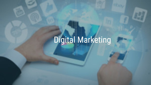 Predicta Digital Pic 4 - Digital Marketing