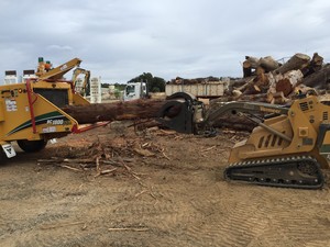 Leo's Tree & Tower Service Pic 3 - Testing the Vermeer skid steer