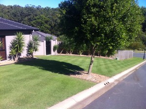 The Lawn Renovators Pic 4