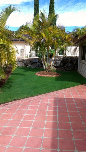 The Lawn Renovators Pic 3 - After