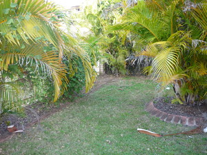 The Lawn Renovators Pic 2 - Before