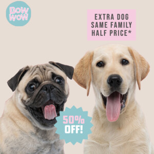 Bow Wow & Co Pic 4 - 50 off extra dogs when booking a full service for walking or sitting