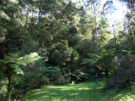 Otway Paradise Cottages Pic 1 - gully entrance