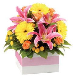 Carews Wynn Vale Florist Pic 1 - Gorgeous Box Arrangements