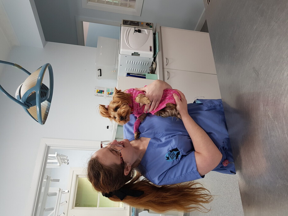 Burwood Veterinary Clinic Pic 1