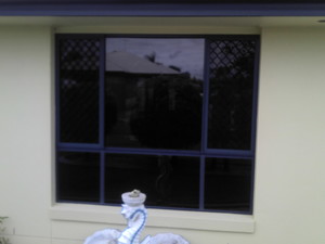 Briteway Window Tinting Pic 5