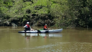 Wongalea Fishing and Camping Pic 2