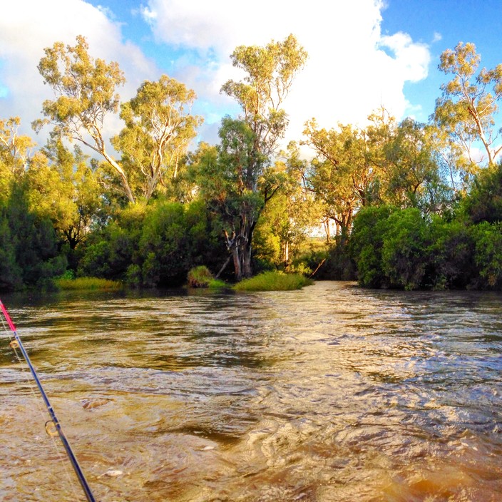 Wongalea Fishing and Camping Pic 1