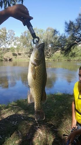 Wongalea Fishing and Camping Pic 5