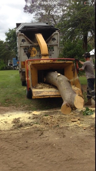 Arbor Bizz Tree Services Pic 1