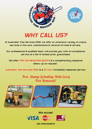 Australian Tree Services Nsw Pic 2 - Now servicing in your area