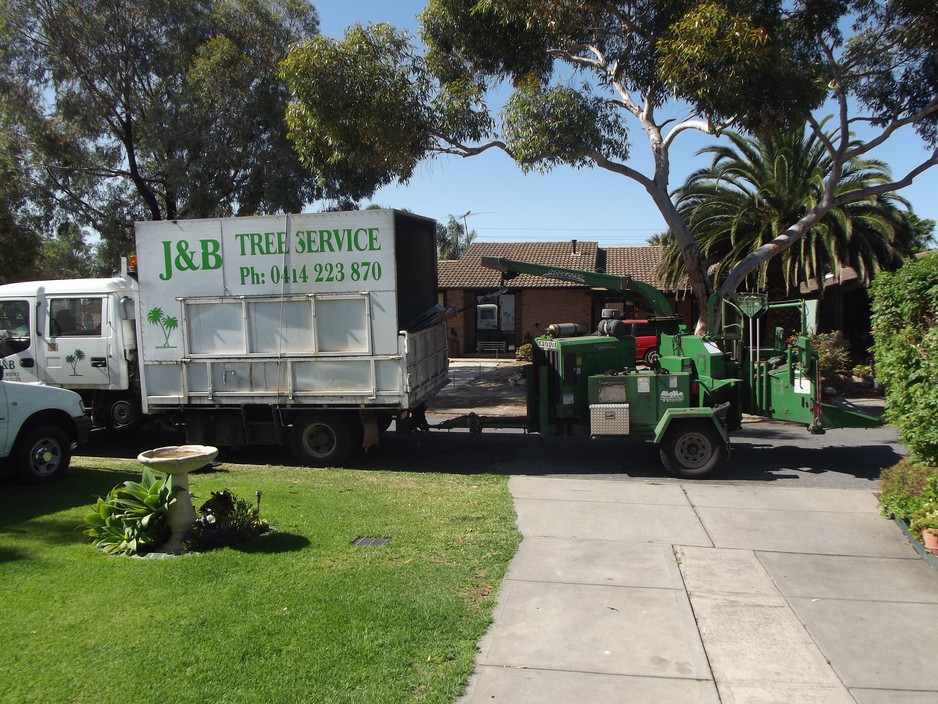 J & B Tree Service Pic 1