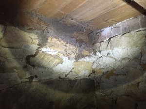 Evicted Pest Control Pic 2 - Termite workings in Sub Floor