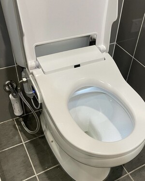 ORCA Plumbing Pic 2 - Back to wall toilet install with bidet toilet seat