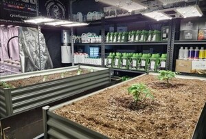 Hydro Haven Nursery Pic 3