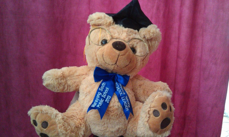 Stand Out Embroidery And Branding Solutions Pic 1 - Great for special occasions we have lots of bears from graduations as above to personalized teddies with your special thoughts written on their paws Great for special events