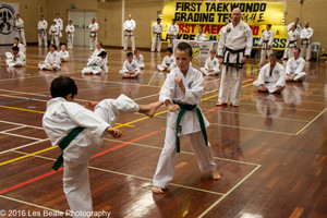 First Tae Kwon Do Yangebup Pic 5