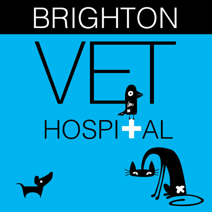 Brighton Veterinary Hospital Pic 1