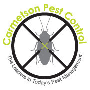 Carmetson Pest Control Pic 1