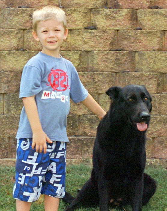 Brashawin Working Dog Kennels Pic 1