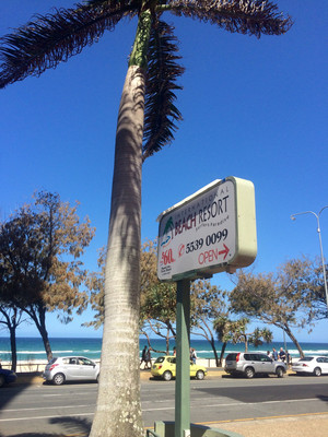 International Beach Resort Pic 4 - Street frontage to Surfers beach