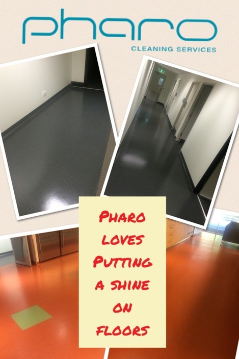 Pharo Cleaning Services Pic 1 - Vynil Floor Cleaning and Polishing