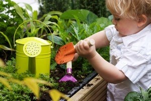 Delve Consulting Pic 3 - Nature Based Play for Children