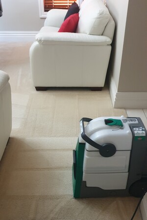 HomeAid Services Pic 4 - Carpet Cleaning Service Contact us for a Free Quote