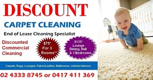 Discount Carpet Cleaning Pic 2