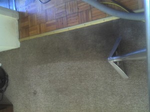 Discount Carpet Cleaning Pic 5