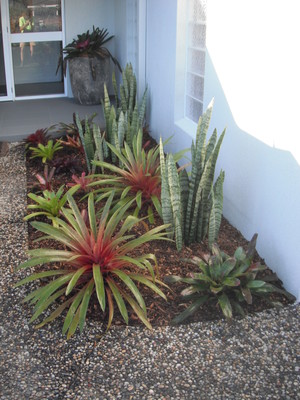 Topia Landscape Design Pic 3 - Small Precious