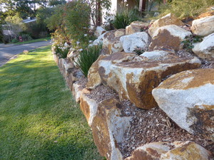 Topia Landscape Design Pic 4 - Bold Beautiful