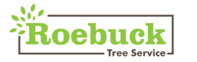 Roebuck Tree Service Pic 1