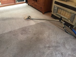 Zarz Carpet Cleaning Pic 2