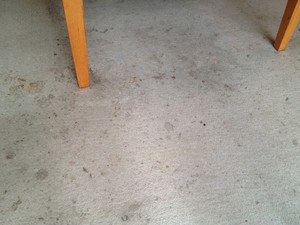 Zarz Carpet Cleaning Pic 5