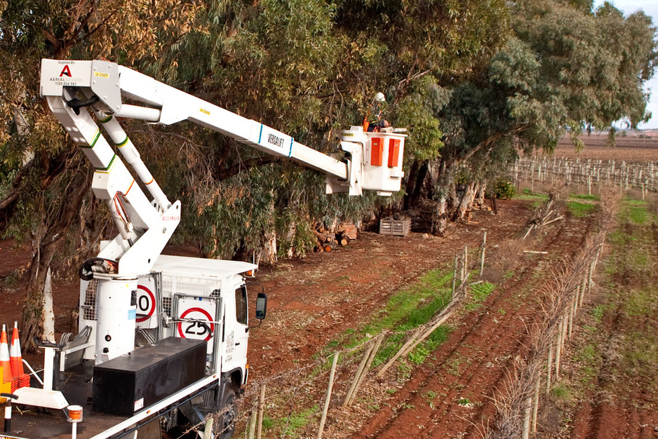 Riverland High Works Pic 1 - Tree trimming and removal lopping from Elevated work platform