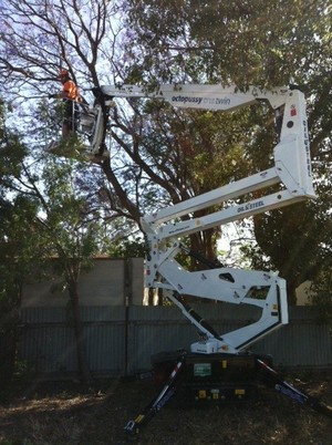 Riverland High Works Pic 3 - Octopussy for easy access in yards for tree trimming and removal