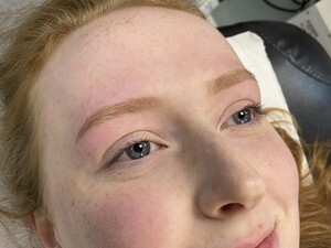 Bring It Brows Pic 2 - Henna