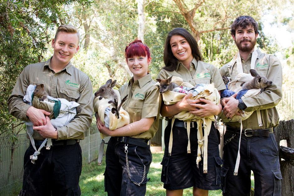 Featherdale Wildlife Park Pic 1