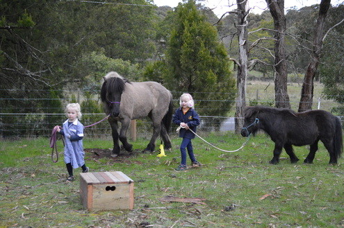 Ballarat Equine Assisted Psychotherapy Pic 1