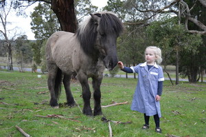 Ballarat Equine Assisted Psychotherapy Pic 2