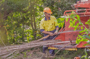 Robert Keeble Tree Services Pic 4