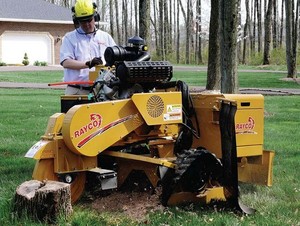 Hobart Tree Chipping & Recycling Pic 3