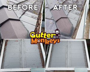 Gutter Monkeys Pic 3 - Before and After shots at a job in Bronte