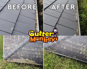 Gutter Monkeys Pic 4 - Before and After shots at a job in Lane Cove