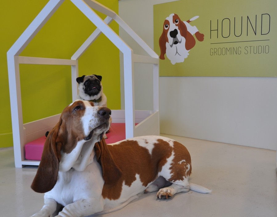 HOUND grooming studio in Edithvale, Melbourne, VIC, Pet Groomers TrueLocal