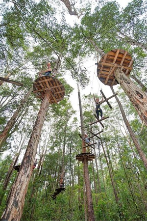 TreeTop Adventure Park Pic 4