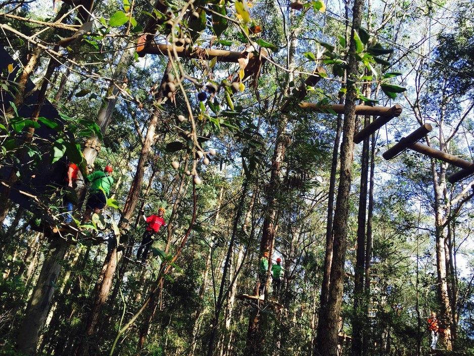 TreeTop Adventure Park Pic 1